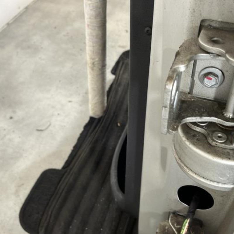 Porte arriere gauche PEUGEOT 207 Photo n°4