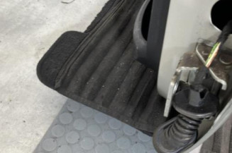 Porte arriere gauche PEUGEOT 207