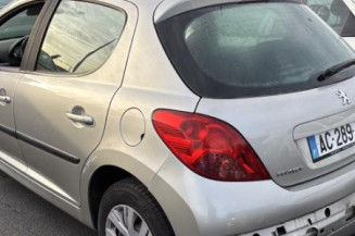 Porte arriere gauche PEUGEOT 207