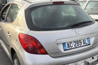 Porte arriere gauche PEUGEOT 207