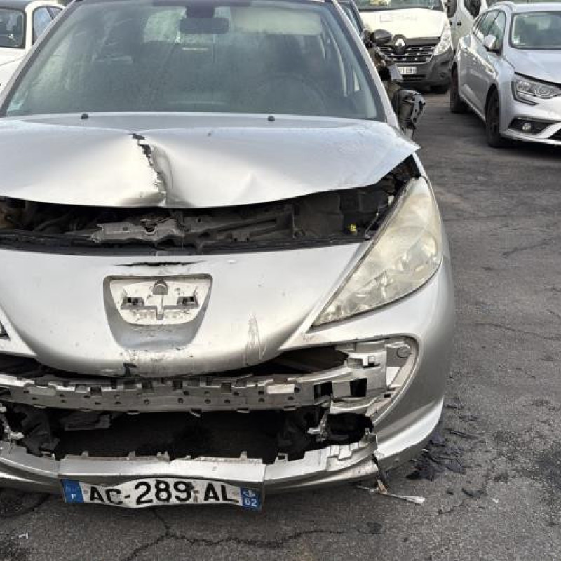 Porte arriere gauche PEUGEOT 207 Photo n°15