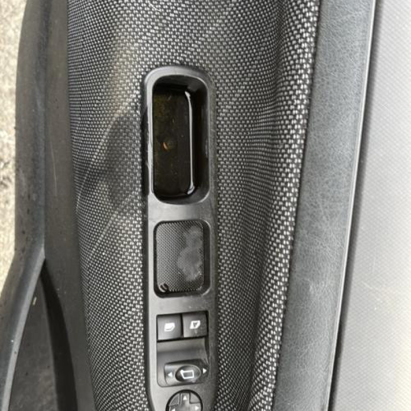 Porte arriere gauche PEUGEOT 207 Photo n°17