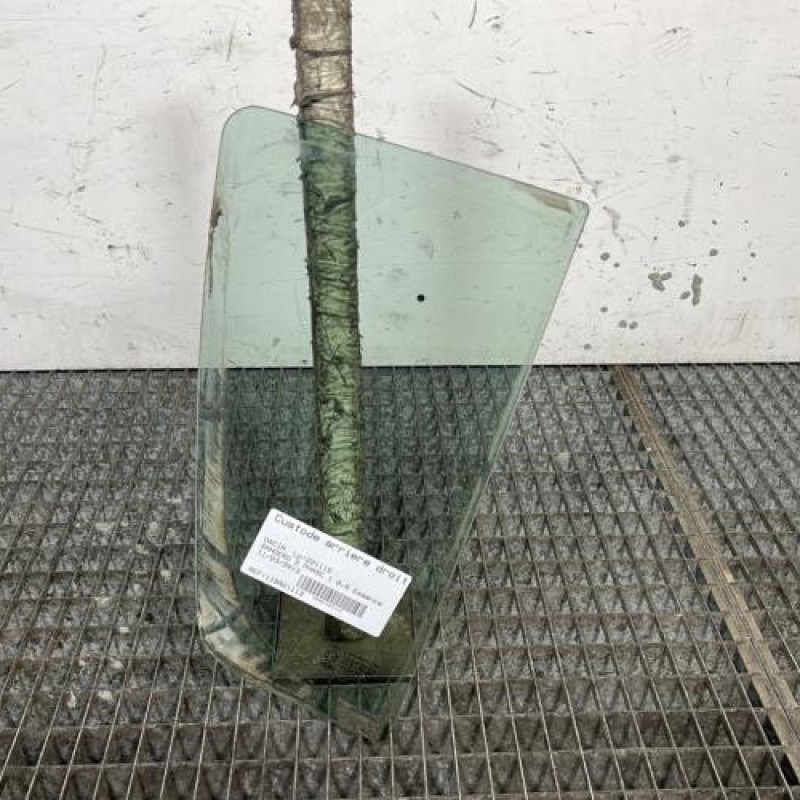 Custode arriere droit (porte) DACIA SANDERO 2 Photo n°1