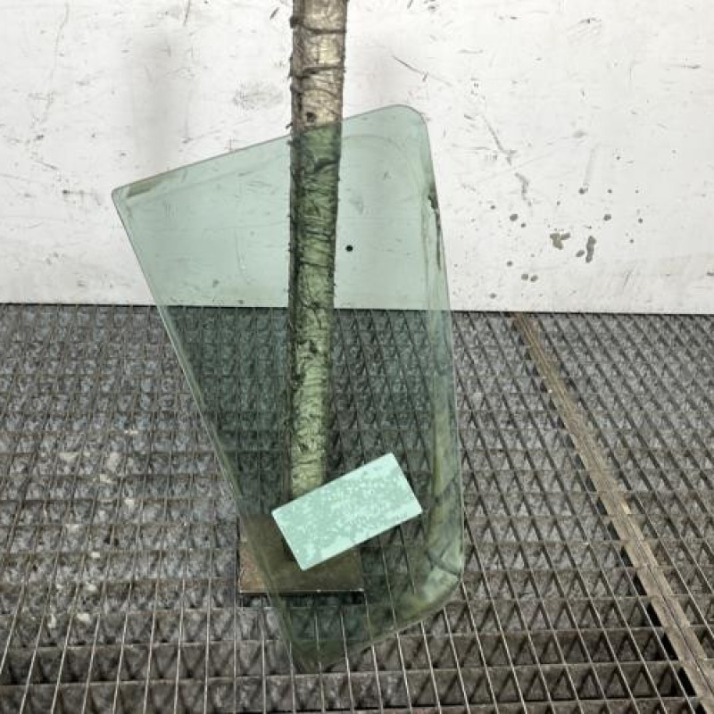 Custode arriere droit (porte) DACIA SANDERO 2 Photo n°4