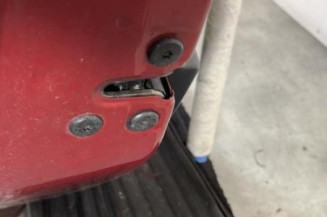 Porte arriere gauche DACIA SANDERO 2