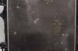 Radiateur eau RENAULT MEGANE 4