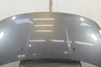 Capot PEUGEOT 3008 1 Photo n°1