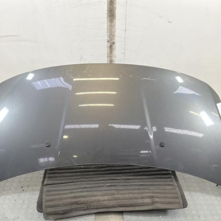 Capot PEUGEOT 3008 1 Photo n°1