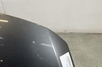 Capot PEUGEOT 3008 1