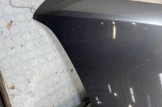 Capot PEUGEOT 3008 1