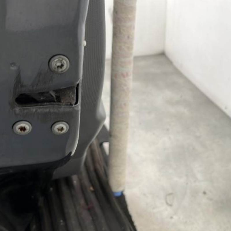 Porte arriere gauche CITROEN C1 1 Photo n°3