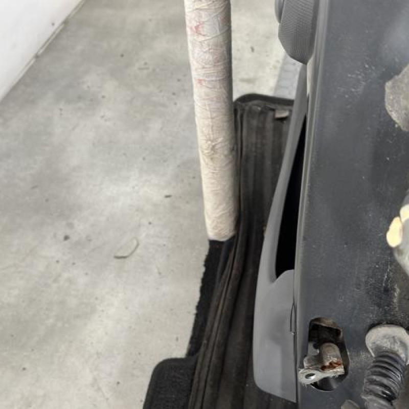 Porte arriere gauche CITROEN C1 1 Photo n°4