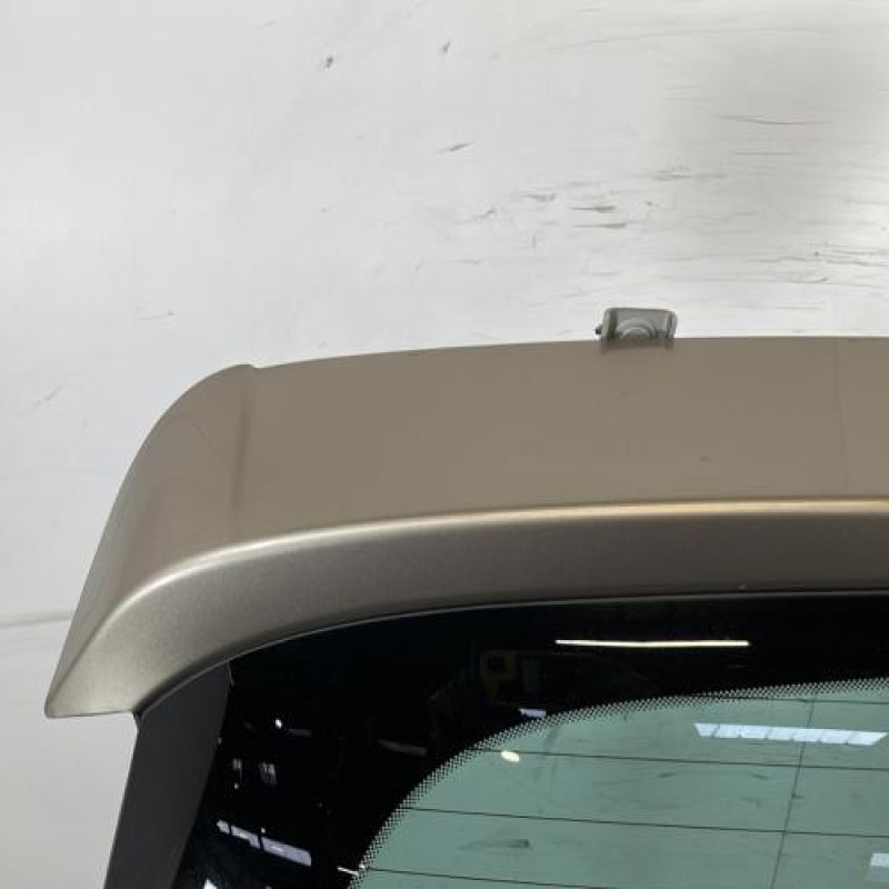 Malle/Hayon arriere RENAULT SCENIC 3 Photo n°2