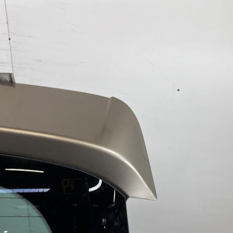 Malle/Hayon arriere RENAULT SCENIC 3 Photo n°3