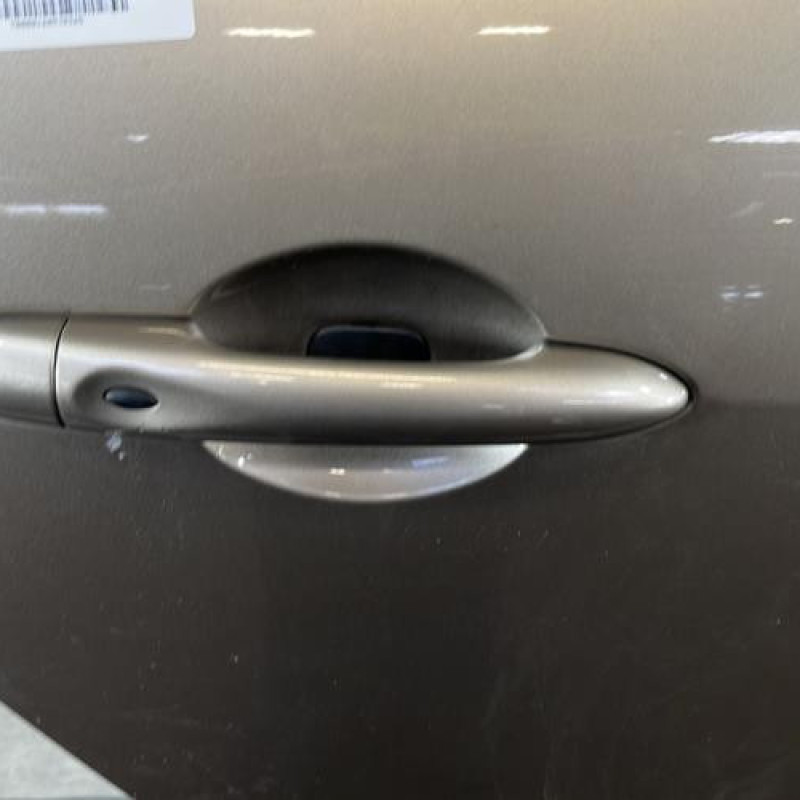 Porte arriere droit RENAULT SCENIC 3 Photo n°2