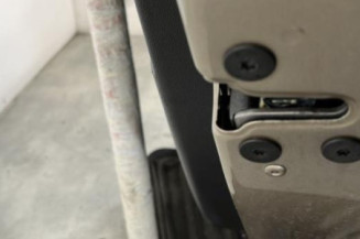 Porte arriere droit RENAULT SCENIC 3