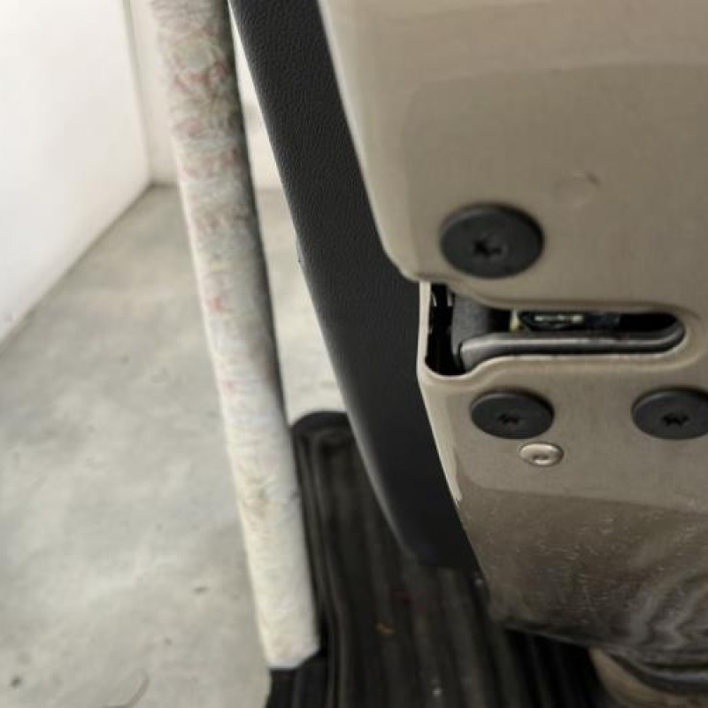 Porte arriere droit RENAULT SCENIC 3 Photo n°3