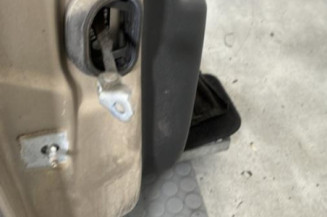 Porte arriere droit RENAULT SCENIC 3