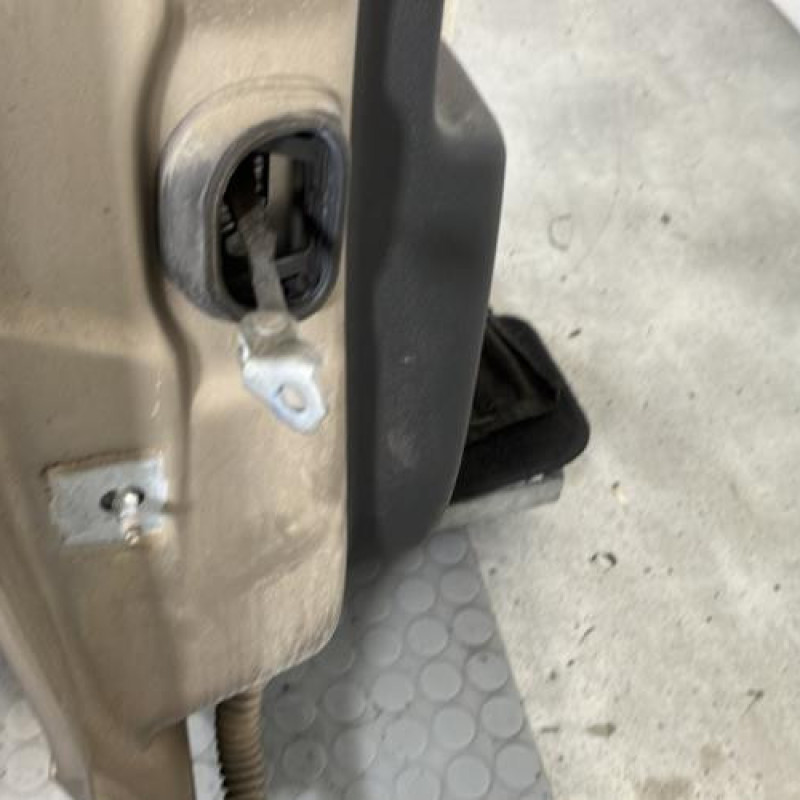 Porte arriere droit RENAULT SCENIC 3 Photo n°5