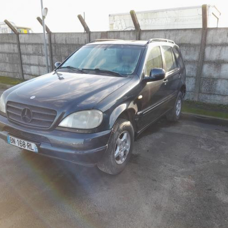 Porte avant gauche MERCEDES CLASSE M 163 Photo n°7