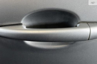 Porte arriere gauche CITROEN C3 2