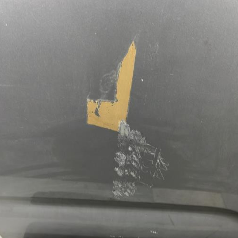 Porte arriere gauche CITROEN C3 2 Photo n°3