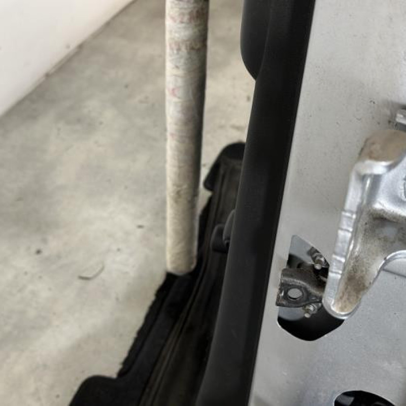 Porte arriere gauche CITROEN C3 2 Photo n°4