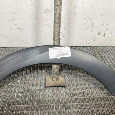 Extension d'aile arriere droit CITROEN C3 3 Photo n°1