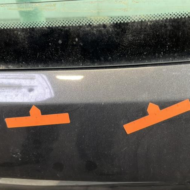 Malle/Hayon arriere PEUGEOT 3008 1 Photo n°2