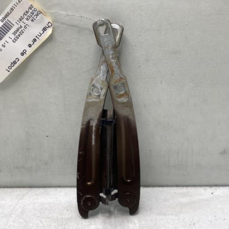 Charniere de capot DACIA DUSTER 1 Photo n°1