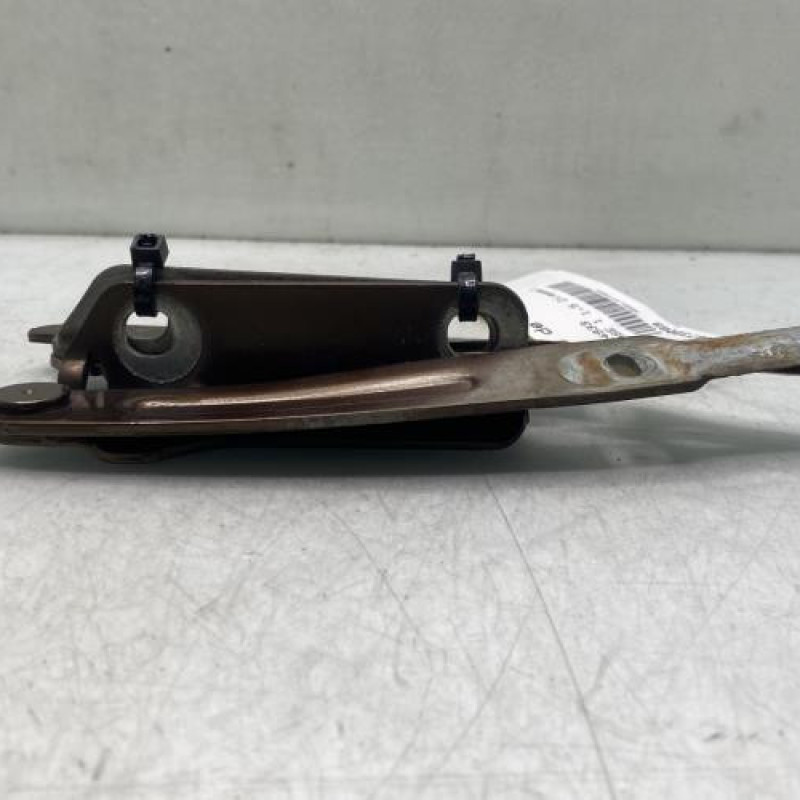 Charniere de capot DACIA DUSTER 1 Photo n°3