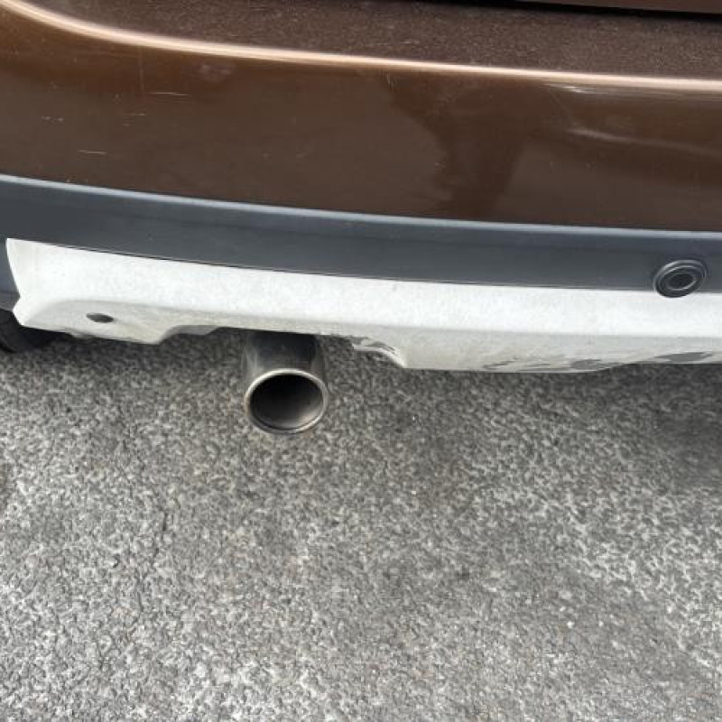 Charniere de capot DACIA DUSTER 1 Photo n°9