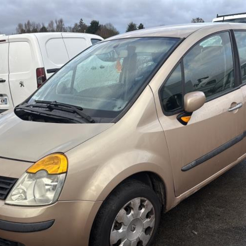 Pedale d'accelerateur RENAULT MODUS Photo n°6