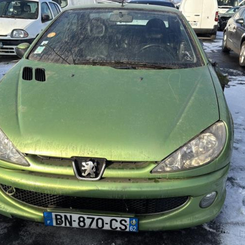 Custode arriere droit PEUGEOT 206 Photo n°12