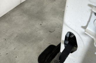 Porte avant gauche PEUGEOT 2008 1