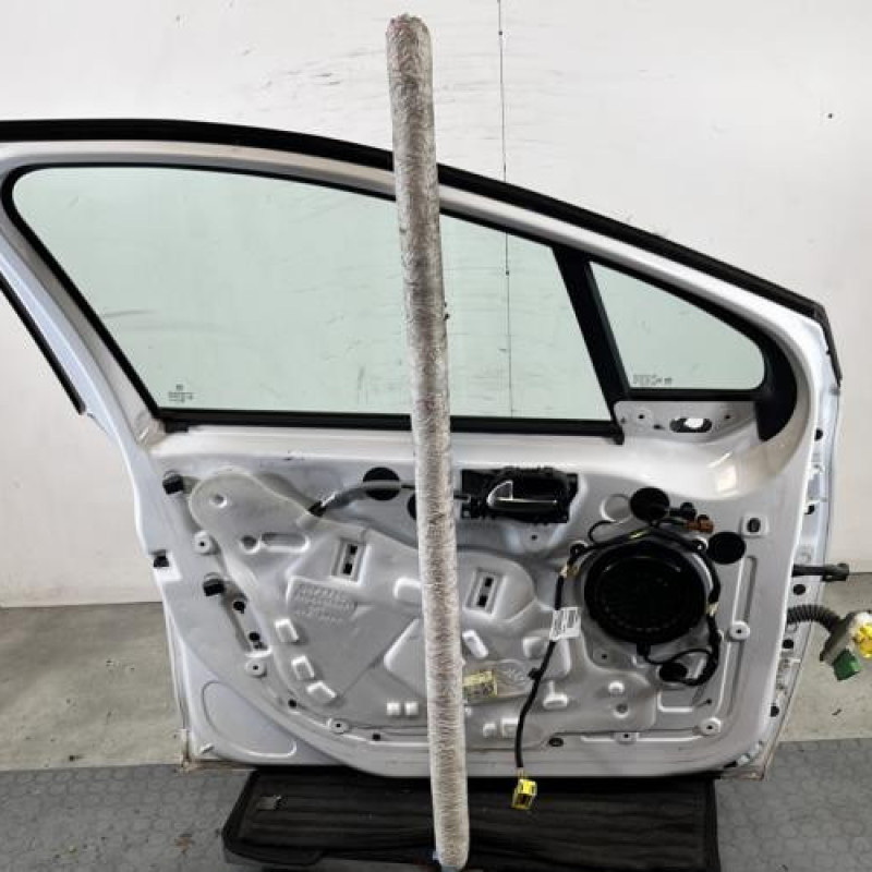 Porte avant gauche PEUGEOT 2008 1 Photo n°6