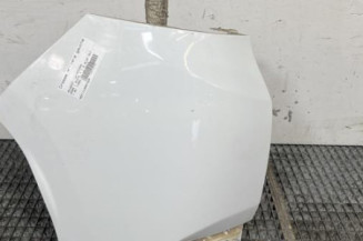 Crosse arriere gauche PEUGEOT 2008 1 Photo n°1