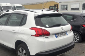 Crosse arriere gauche PEUGEOT 2008 1