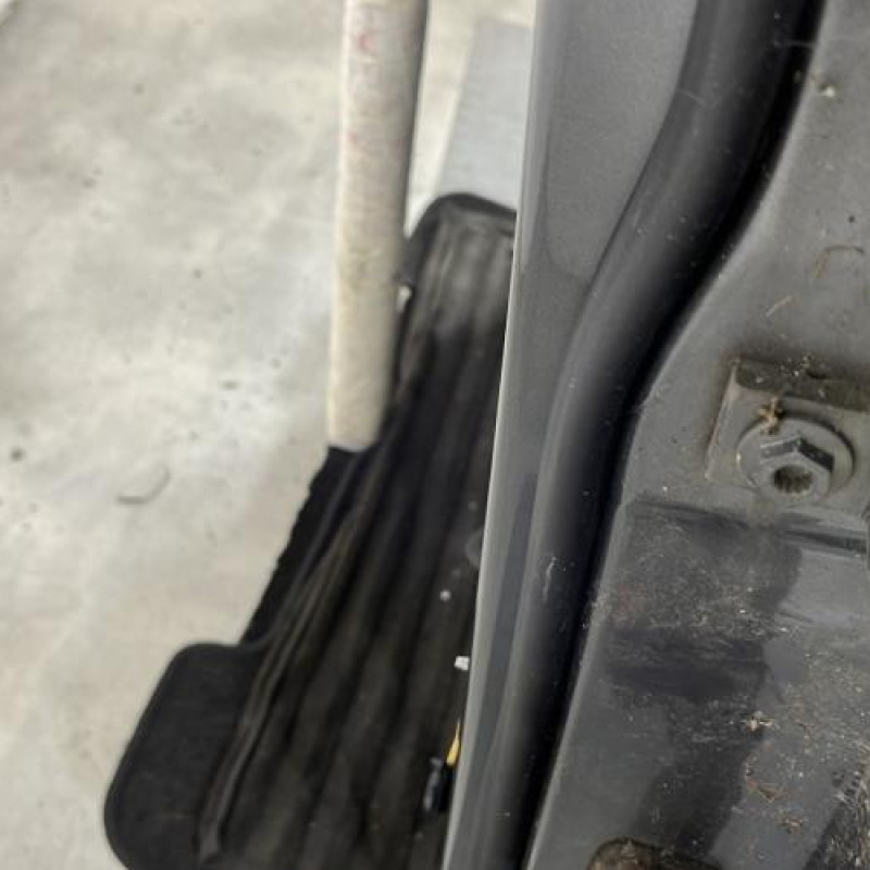 Porte avant gauche VOLKSWAGEN TOURAN 2 Photo n°2