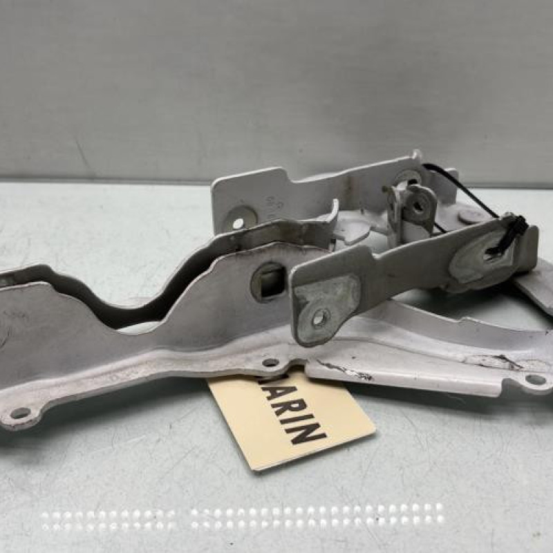 Charniere de capot CITROEN C3 3 Photo n°1