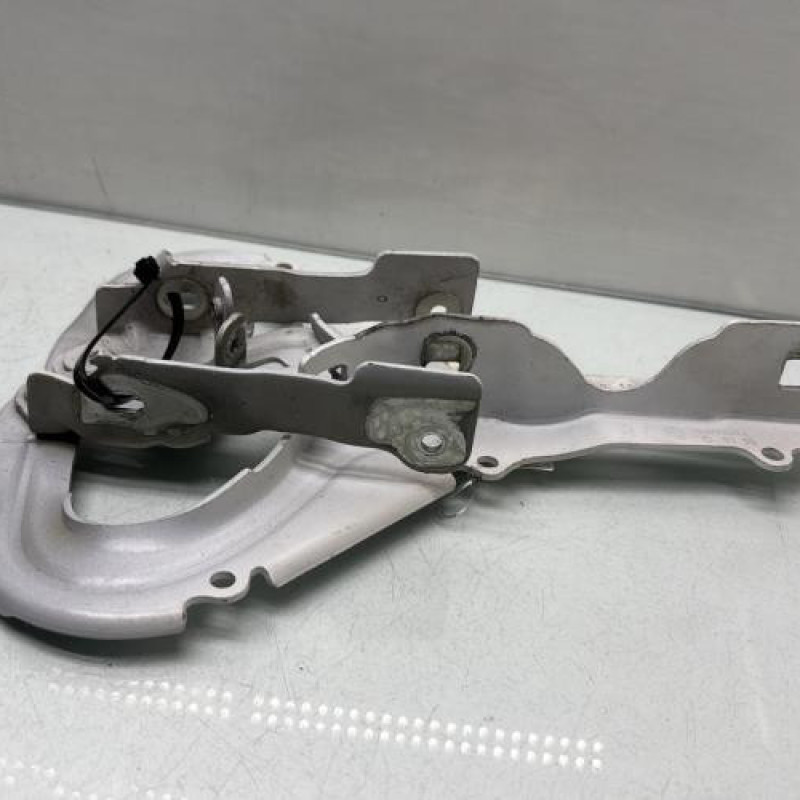 Charniere de capot CITROEN C3 3 Photo n°2