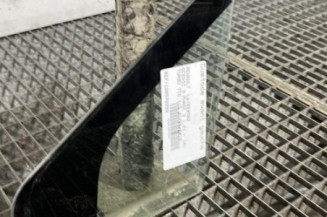 Custode avant gauche (porte) RENAULT SCENIC 3