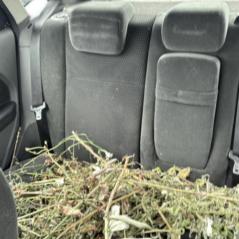 Neiman FORD FOCUS 2 Photo n°15