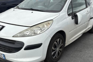 Cremaillere assistee PEUGEOT 207