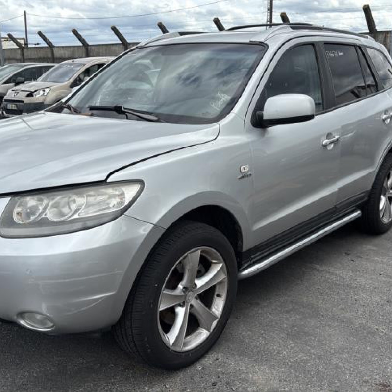 Porte arriere droit HYUNDAI SANTA FE 2 Photo n°9