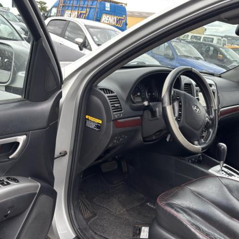 Porte arriere droit HYUNDAI SANTA FE 2 Photo n°17