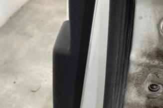 Porte arriere gauche HYUNDAI SANTA FE 2