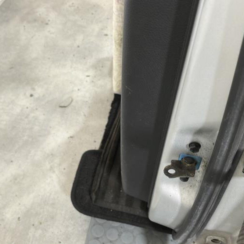 Porte arriere gauche HYUNDAI SANTA FE 2 Photo n°5