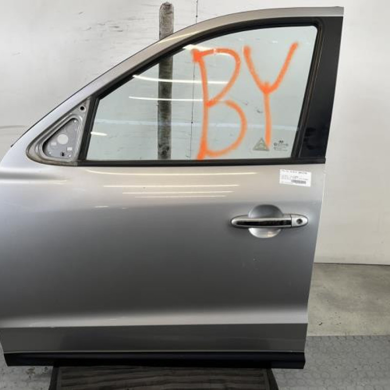 Porte avant gauche HYUNDAI SANTA FE 2 Photo n°1