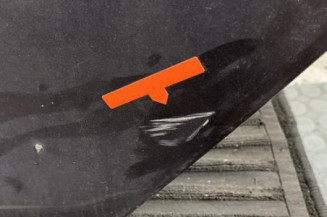 Porte arriere gauche RENAULT CLIO 4